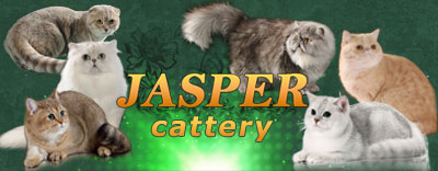 Jasper